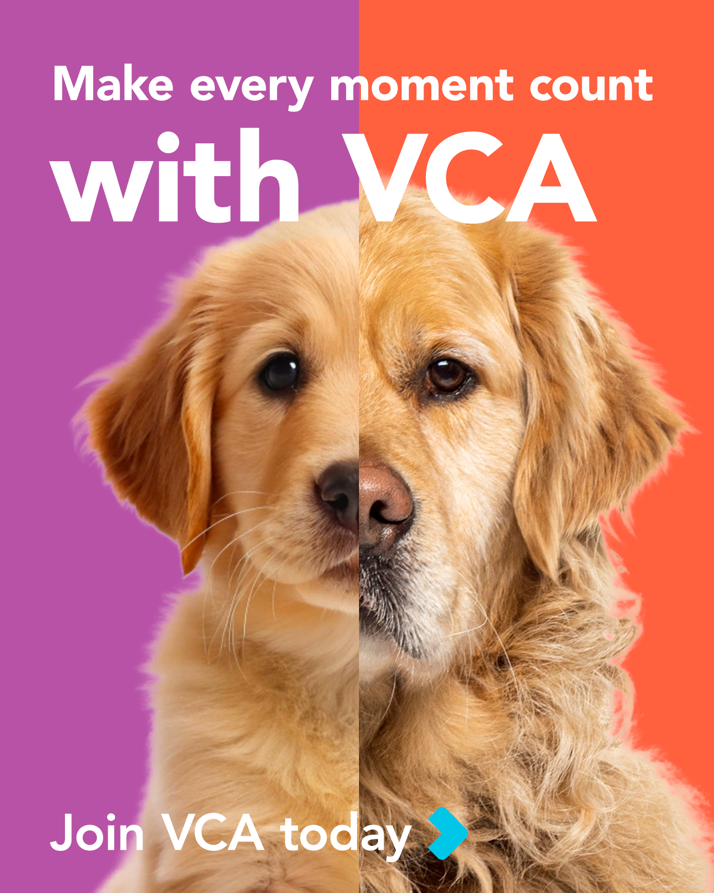 Connection_To_V1a_4x5