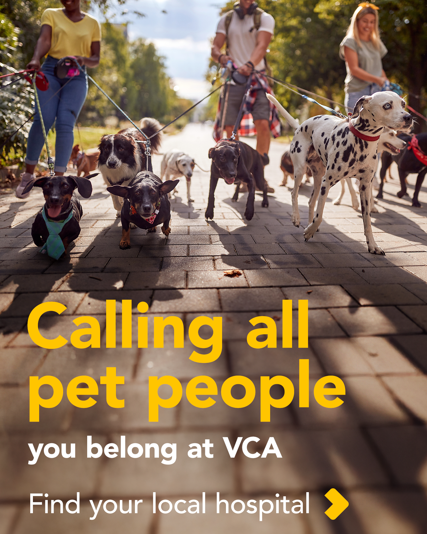 Connection_To_V2_4x5