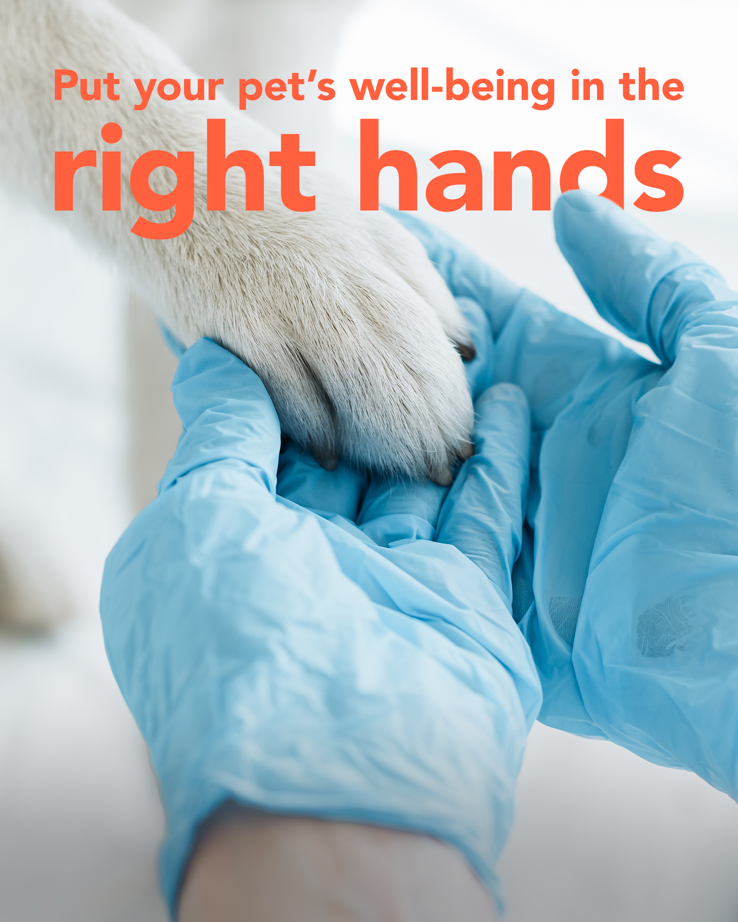 Quality_Care _V4a_4x5