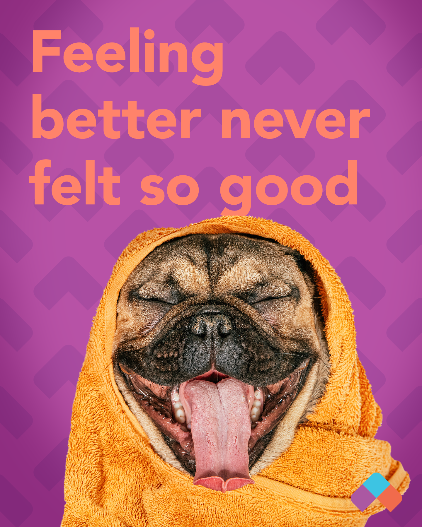 Quality_Care_V1a_4x5